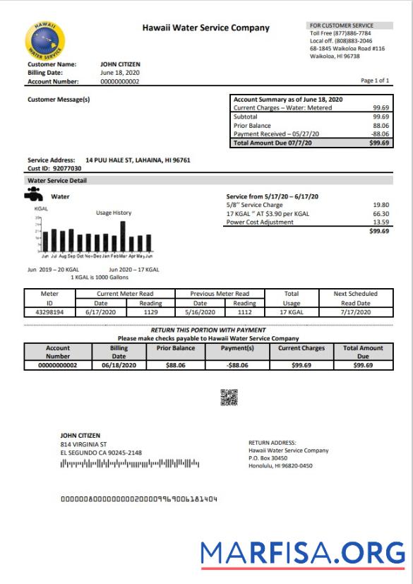Printable USA Hawaii Water Service Company utility bill template in Word and PDF (.doc and .pdf) format